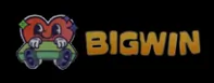 Bigwin Logo