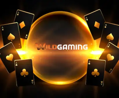 wild gaming